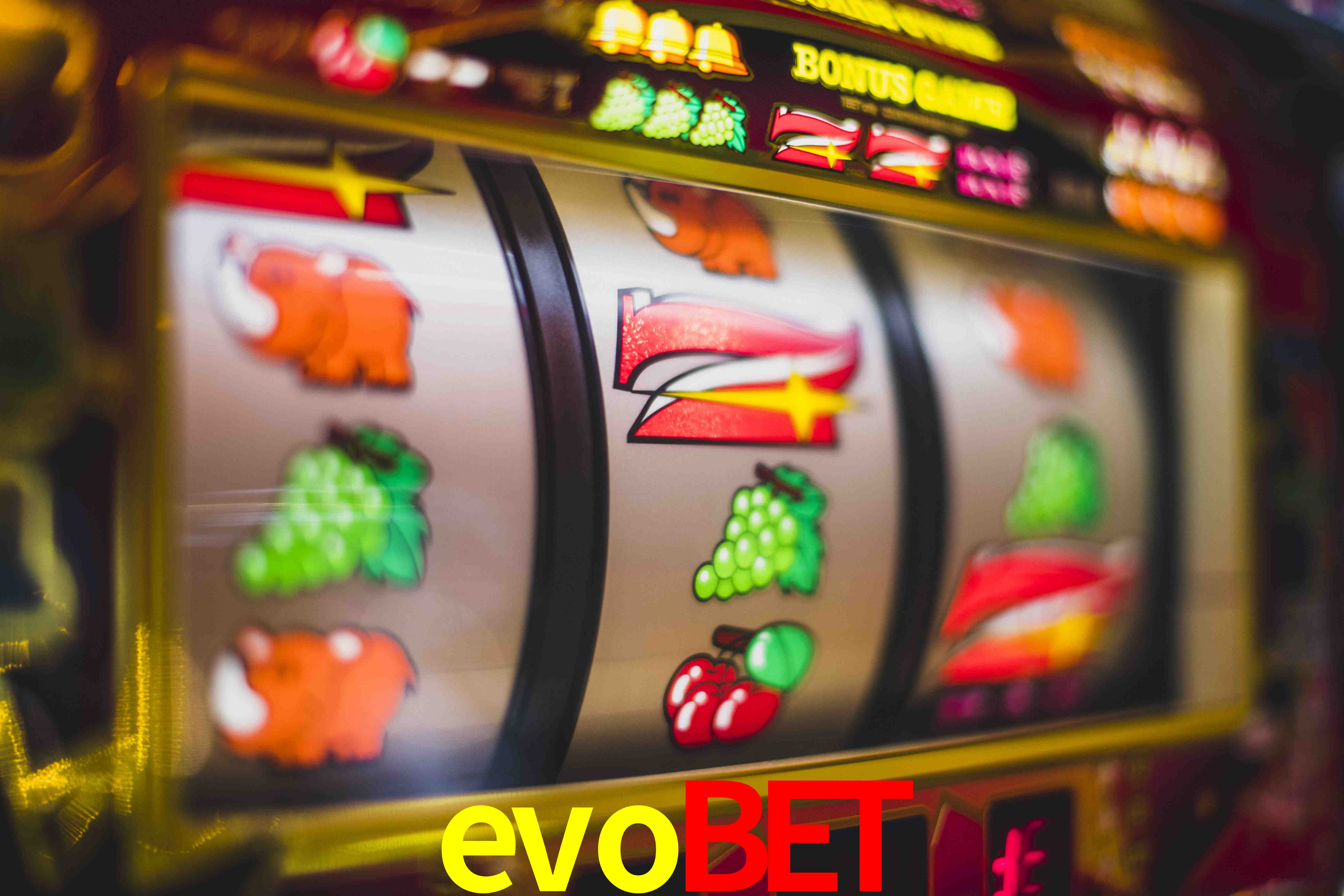 Tennis Betting evobet